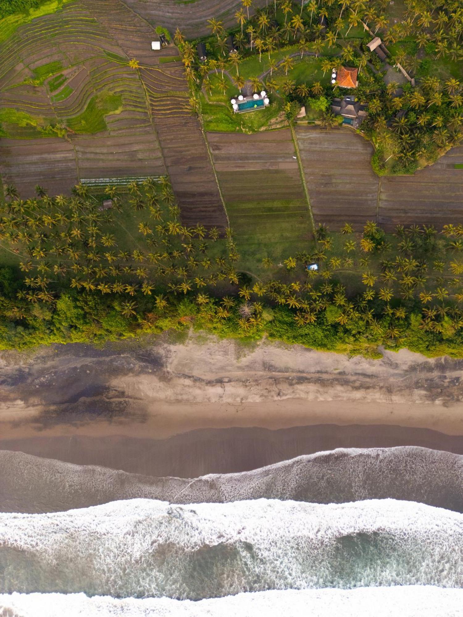 Desa Cabins Balian Exteriér fotografie